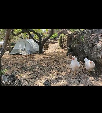 Tenda Etna Into The Wilde Montargano Εξωτερικό φωτογραφία