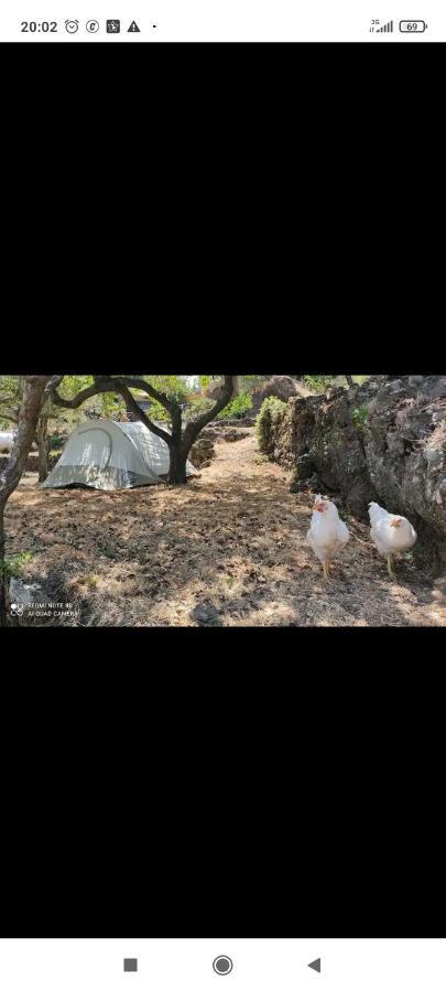 Tenda Etna Into The Wilde Montargano Εξωτερικό φωτογραφία